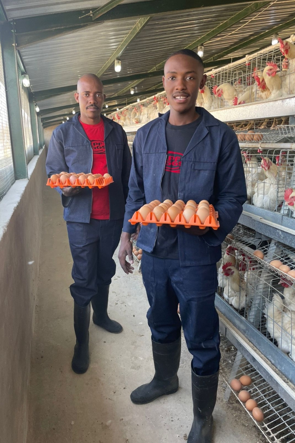 LPF EGGS 6